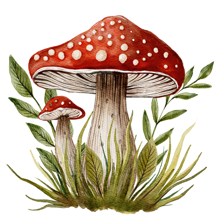 Two mushrooms surrounded by grass