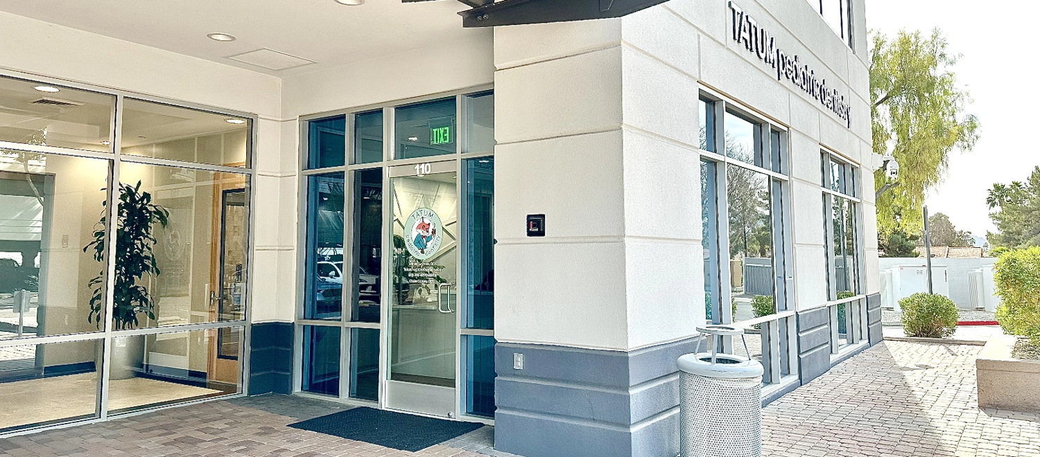 Tatum Pediatric Dentistry | Entrance of Tatum Pediatric Dentistry with glass doors, large windows, and a welcoming sign, surrounded by clean landscaping and a paved walkway.